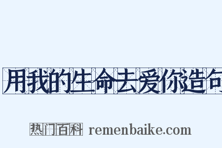用我的生命去爱你造句是什么意思的图片